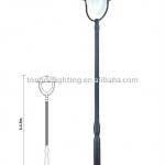 Tongde Electrodeless Induction lamp path light with CE&amp;RoHS certificate IP65(F-18102)