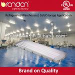 T5 T8 outdoor polycarbonate Fluorescent Light Fixture