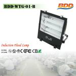 200W Induction Flood Light