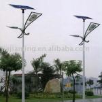solar lighting pole