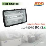 Considerate Service Induction Lamp Tunnel Lamp