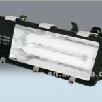 80W-150W Induction Tunnel Light Fixture