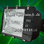 Energy saving Induction Tunnel Lighting RY302D 80W