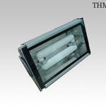 Induction Tunnel Light Fixture