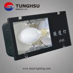 IP65 Induction Light Source Tunnel Lamp For Viaduct Buttom