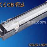 IP67 T5 wall lamp, waterproof fluorescent light, outdoor lighting fixture