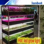 led plant grow light,cheap led grow lights,apollo led grow lights