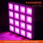 2014 Evergrow Latest Masterpiece Nova S2 M16 1200W led grow light for indoor cultivation