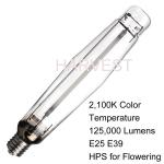 Street Lighting High Pressure Sodium bulbs 1000w