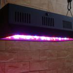 7-Band 240W LED Grow Light,Hydroponics,LED Fixtures