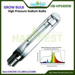 Hydroponics system used grow light hps/mh