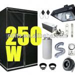 250w OG air cooled reflector