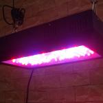 7-Band 240W LED Grow Light,Hydroponics,LED Fixtures