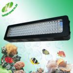 aquarium fish light 100W led fish light akvariefiskar ljus