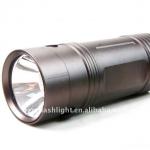 Dual Light Source Fishing Light