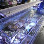 175W 5 feet 8000k led lights aquarium salt for coral reef and fish growth