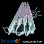 led fish light with CE certification
