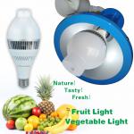 Patent 5 years warranty IP65 100w LED fresh light for fruit in supermarket