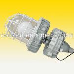 135W IP65 Aluminum alloy induction explosion-proof light
