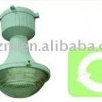 ENLAM explosion proof Induction lamp