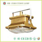 HB 100 to 300V 40W 50W induction lamp for explosion-proof light