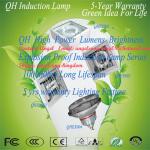 QH New High Quality Powerful Petrol Station 70W To 250W Explosion Proof Induction Lamp 5 Year Warranty UL Approved