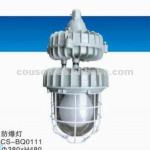 explosion-proof induction lighting