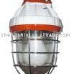 Electrodeless induction lamp for Explosion-proof lights