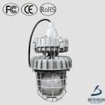 Reliable and stable safety Ip65 Induction Explosion Proof Lamp 60w-165w
