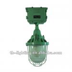 55W induction explosion-proof tube light for explosive gas environment, 60000h lifespan lvd induction light
