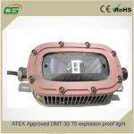 ATEX Approved DMT-30 T5 led explosion proof street lights