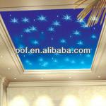 Twinkle clear fiber optical ceiling light , starry ceiling light led light