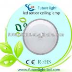 pir motion sensor ceiling light