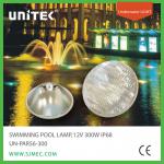 12V 300W PAR56 Swimming Pool Light