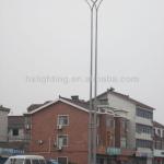 Double street lamp HXS-076