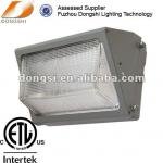 HID classic looking tunnel wall lighting DS-402