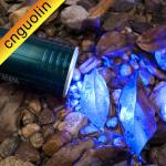High Power Rechargeable Led Flashlighting Torch With Blue or White Led For Fishing/Outdoor D06
