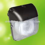 Low Frequency Ceiling Lamp RY40