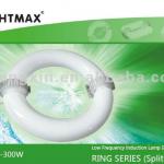 Low Frequency Induction Lamp/Induction Light BMX-HX